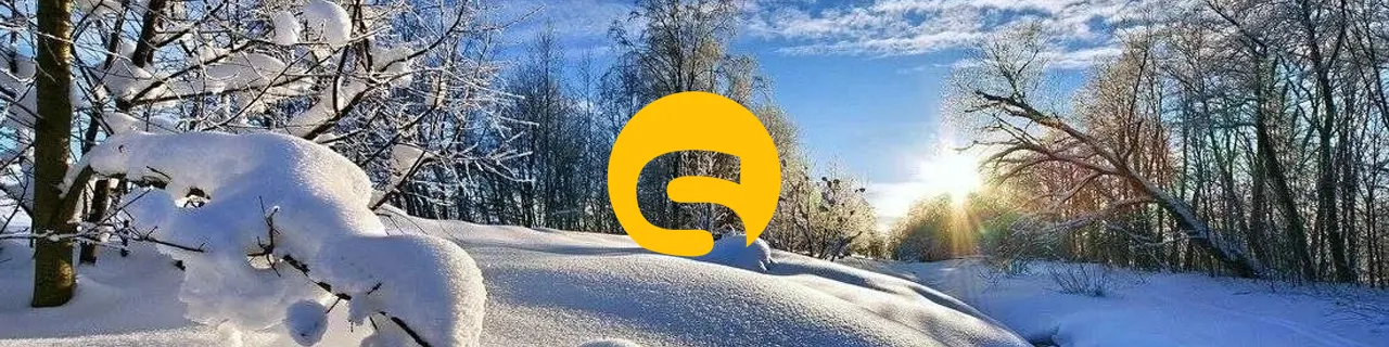 Запустите сайт к весне и привлекайте больше заявок