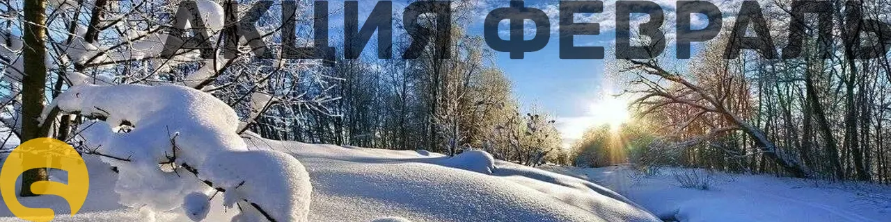 Запустите сайт к весне и привлекайте больше заявок