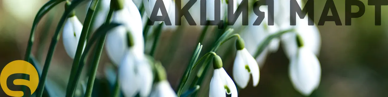 Март - лучшее время для нового сайта! Настройка рекламы или месяц SEO в подарок!